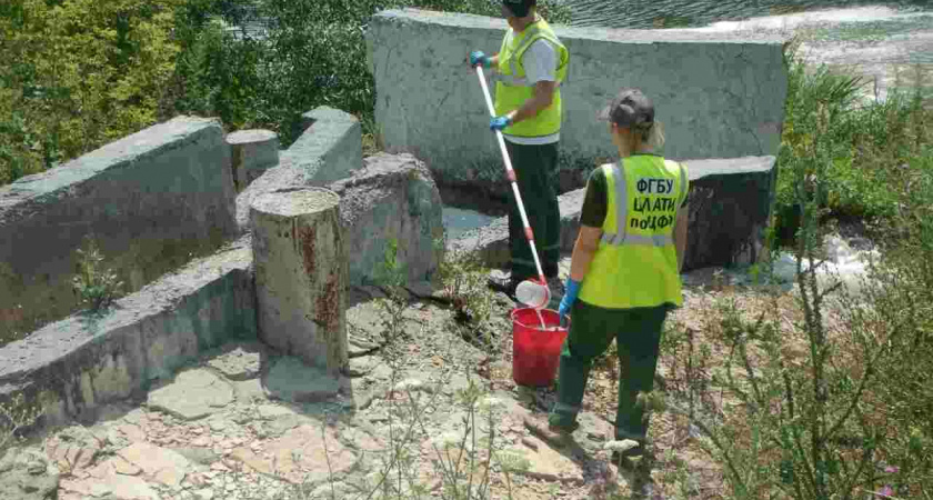 С «Лебедянского водоканала» Росприроднадзор требует 99 млн рублей за ущерб Дону