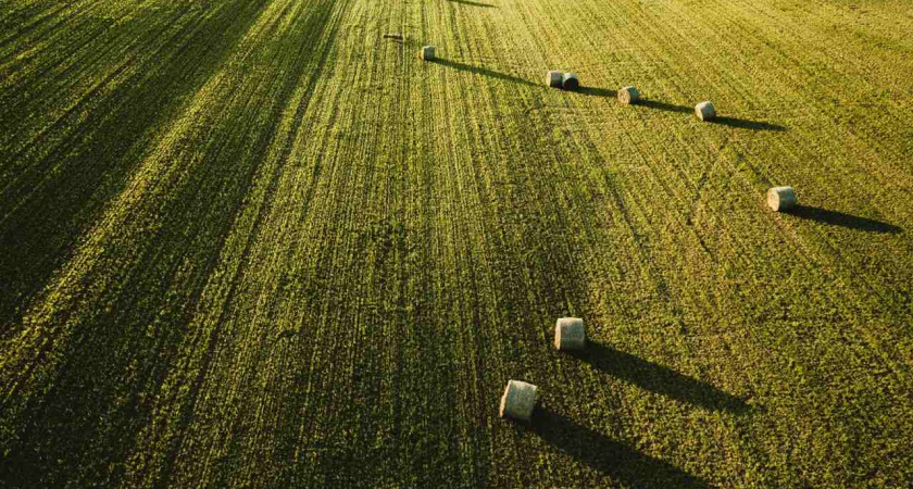 Липецкая агрокомпания СХП «Мокрое» и фермер не могут поделить арендные земли в Лебедянском районе