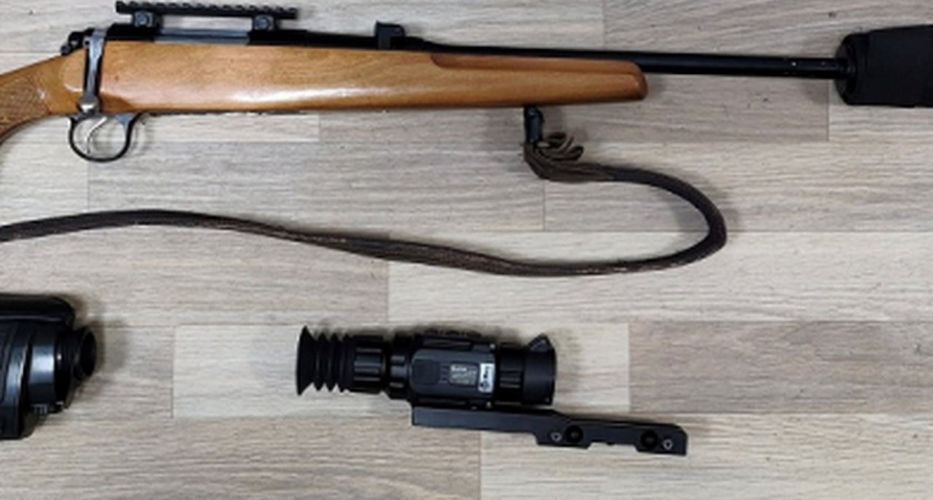 В Липецкой области охотнику грозит до 5 лет за отстрел двух косуль