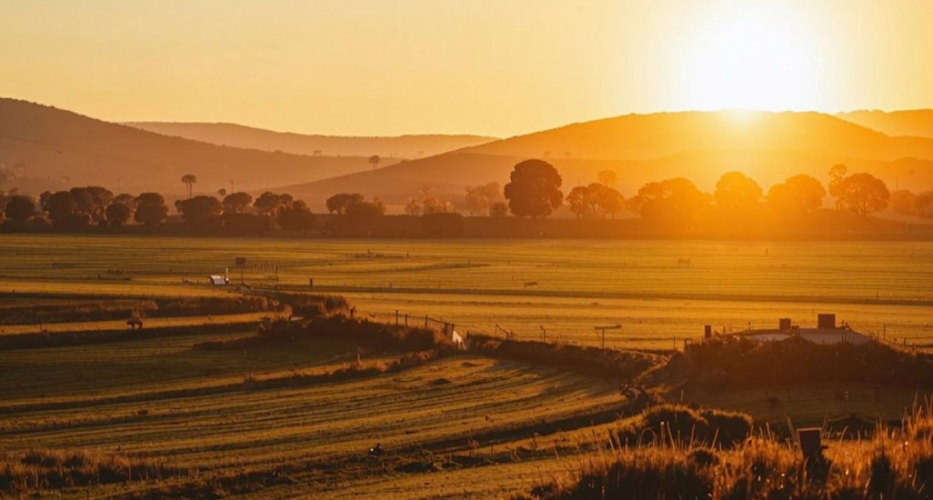 Три участка земли Липецкой ипотечной корпорации выкуплены за 22 млн рублей