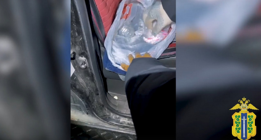 Липчанин привез из Воронежской области для продажи 450 доз метадона