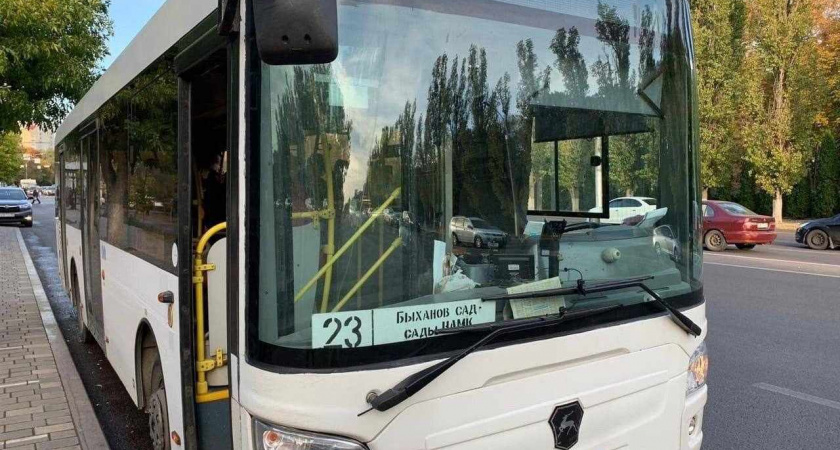 В Липецке с 12 апреля запустят бесплатные садоводческие маршруты