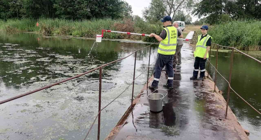 Росприроднадзор требует компенсацию ущерба с «Усманского водоканала» за загрязнение реки
