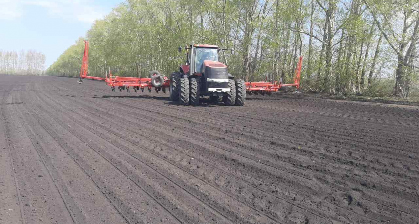В Липецкой области темпы ярового сева опережают прошлогодние на 17%
