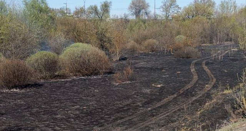 В Липецке с 23 апреля вводится особый противопожарный режим