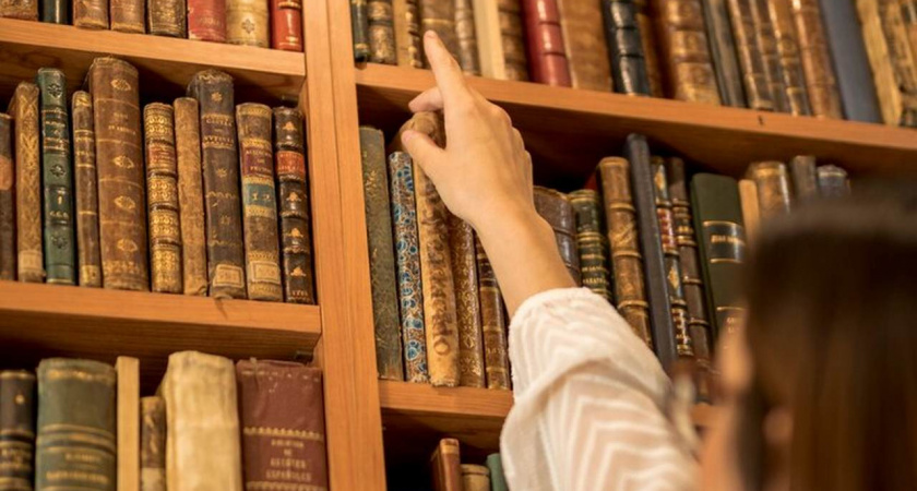 «Библионочь-2025», турнир по хоккею «Время Героев», иммерсивный спектакль и Андрей Бебуришвили – удачные выходные в Липецке