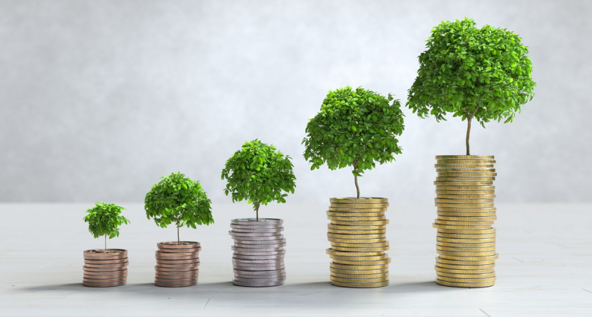  Липчане направили в ПДС 224 млн рублей  