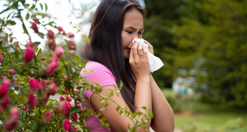 В Липецке начался опасный период для аллергиков