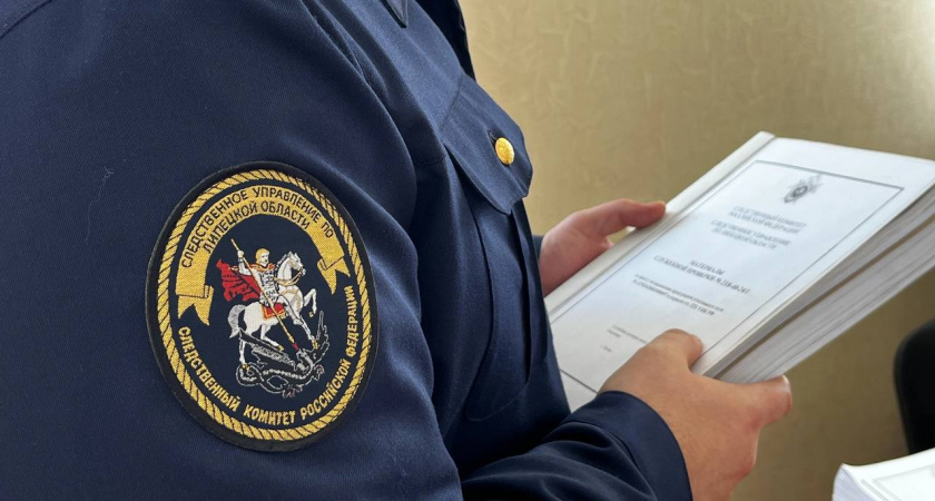 Экс-начальницу отдела дознания в Липецке обвиняют в 36 эпизодах подлога
