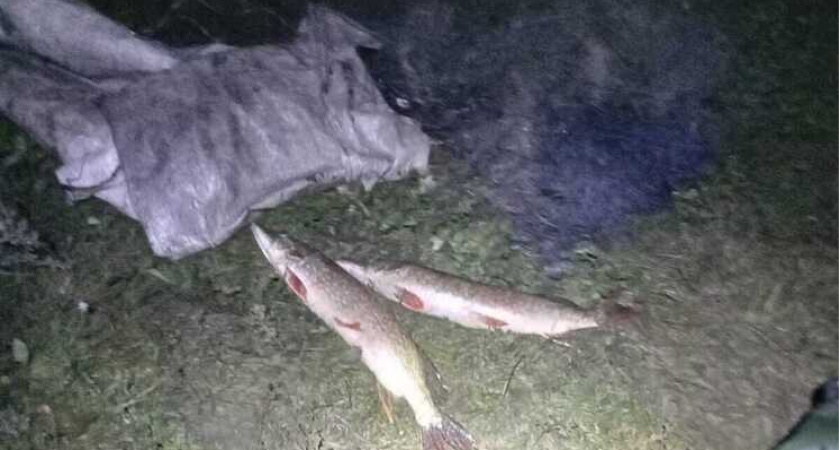 В Липецкой области поймали двух браконьеров с 46 кг рыбы