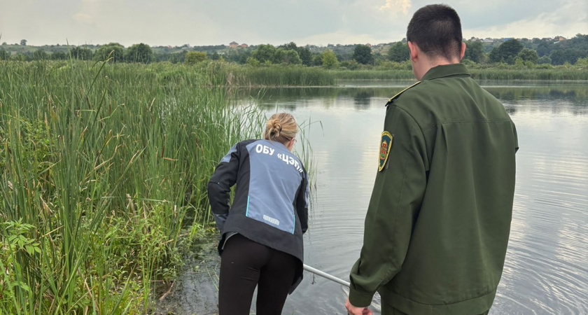 Странная субстанция в реке Воронеж встревожила жителей Липецкой области