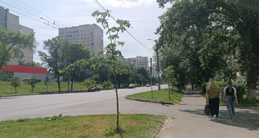 Гороскоп на 23 июля для всех знаков Зодиака: кому звезды сулят приятные встречи и сюрпризы?