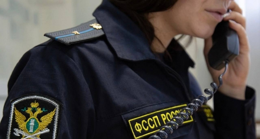 Липчанин погасил долг по алиментам после ареста счетов