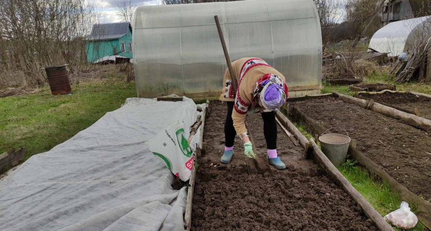 Никогда так не делайте осенью: 5 роковых промахов, которые сведут на нет весь будущий урожай