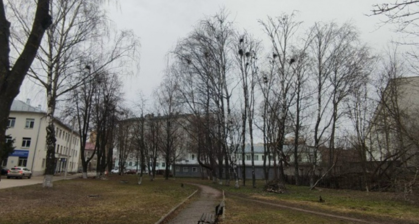 В каких регионах России ожидаются первые заморозки — прогноз синоптиков