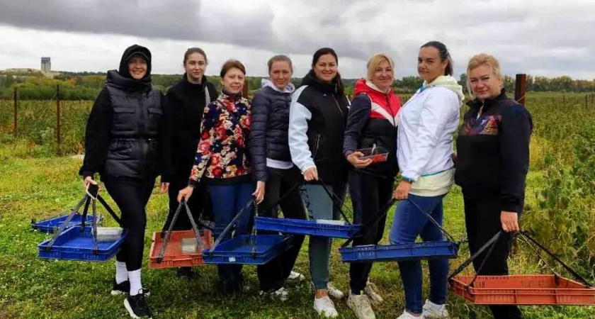 Липецкие спасатели МЧС помогли монастырю в сборе урожая малины