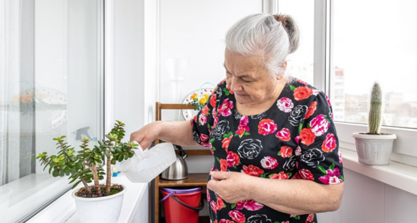 75-летняя бабушка дома почти не убирается, но у нее всегда чистота и свежесть в доме: вот какими секретами она поделилась со мной