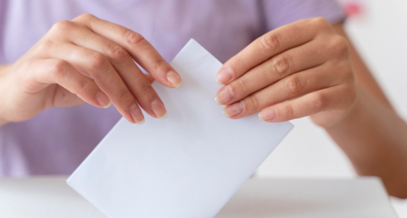 Жители Липецка рассказали о мотивах участия в выборах