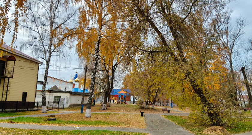«Погода в ноябре готовит сюрпризы»: от аномального потепления до снежных буранов