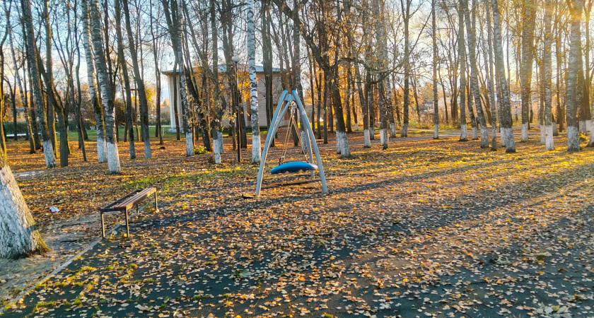 Несколько способов применения листового опада на даче: что делать с кучей листьев