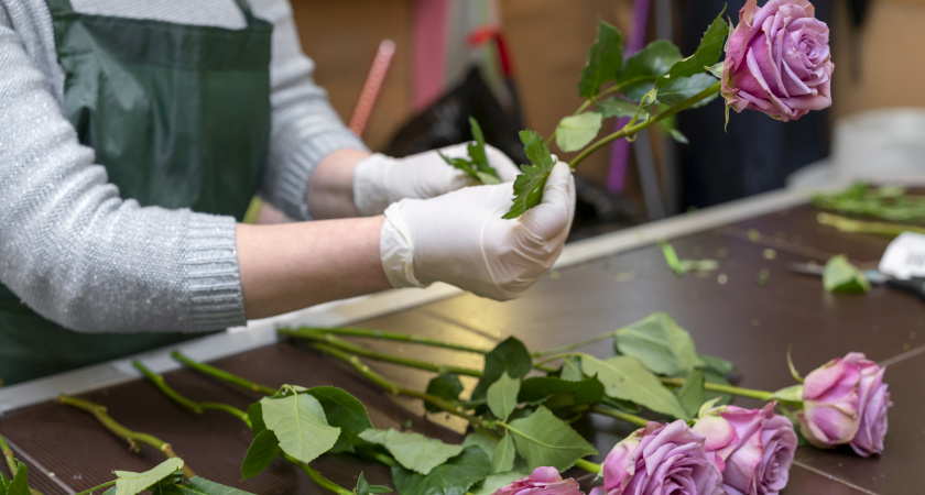 Как превратить увядающий букет в новые розы: проверенный способ укоренения за 27 дней