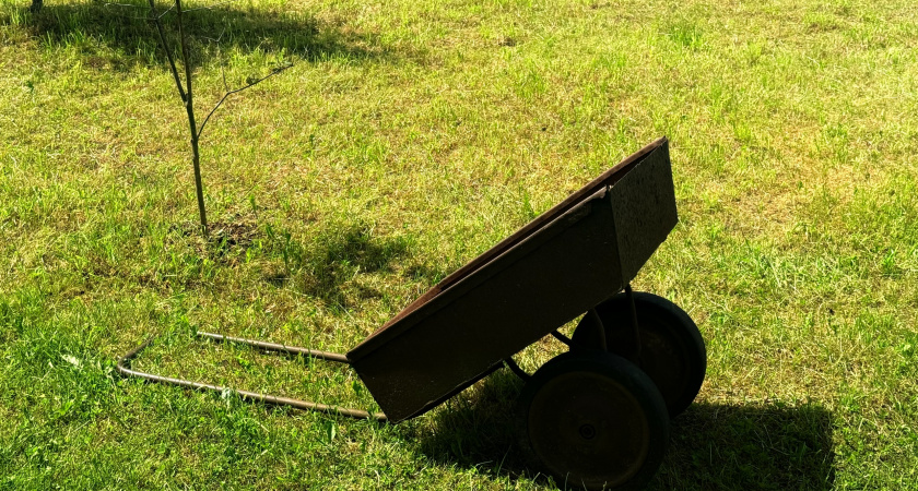 Огород без лишних хлопот: как собрать богатый урожай, почти не трудясь