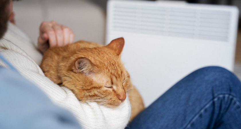 Жильцы дома на Плеханова месяц мерзнут без отопления