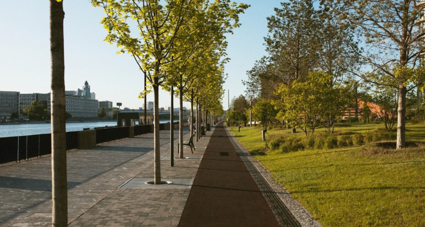 В Липецкой области 21 сквер благоустраивают по нацпроекту