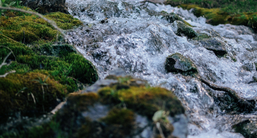 Киселевский родник благоустроят в Лев-Толстовском районе