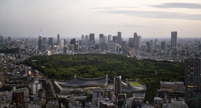 Это не мегаполис, а целая страна: города с самой большой территорией