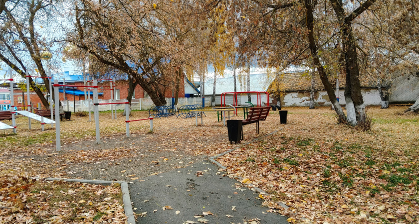 Последнее дыхание осени: какую погоду ждать в Центральной России, когда придут заморозки