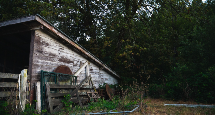 Бастрыкин потребовал разобраться с давлением на фермершу из Чернолеса