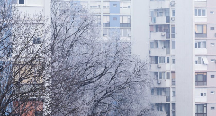 Зима придет позже срока: синоптики дали новый прогноз 