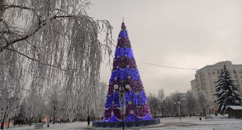 Новогодней столицей Липецкой области выбран Елец