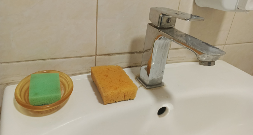 Необычный способ сохранить продукты свежими: понадобится губка для посуды