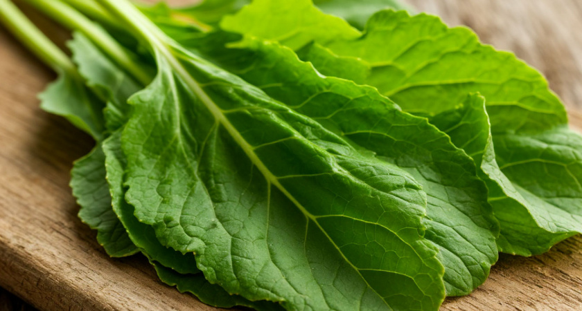 Листья хрена: неоткрытое «золото» в огороде и кухни, которое все выбрасывают