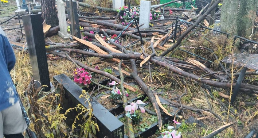 Рабочие разрушили захоронения на кладбище в селе Казинка
