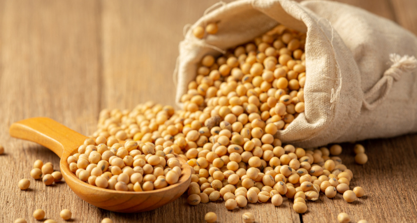 Аграрии Липецкой области побили рекорд по урожаю сои