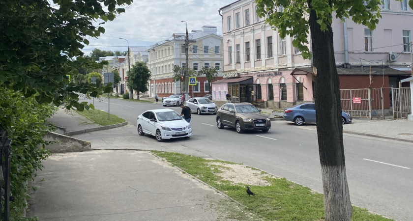 3 рецепта побелки от опытного дачника: будет держаться до лета – есть один нюанс