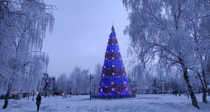 Липчанам объяснили, какие продукты к Новому году выгоднее покупать заранее