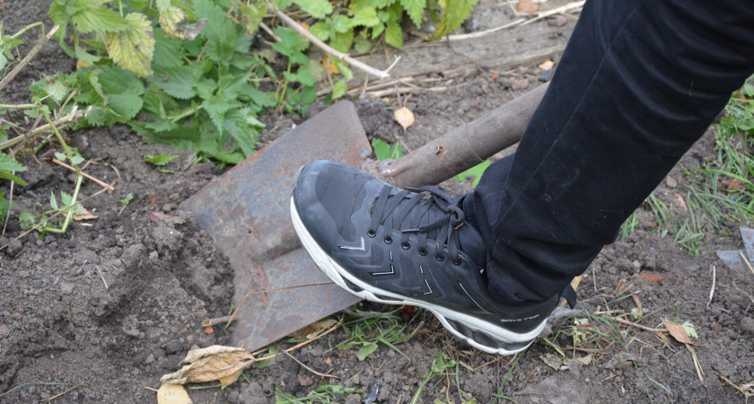 Зачем закапывать яйца в огороде — необычный, но рабочий совет от фермеров