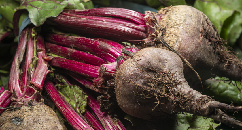 Красный и сладкий: современные сорта свеклы делают из обычного урожая деликатес