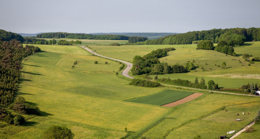 В Липецкой области запустили приложение для связи с земельными инспекторами