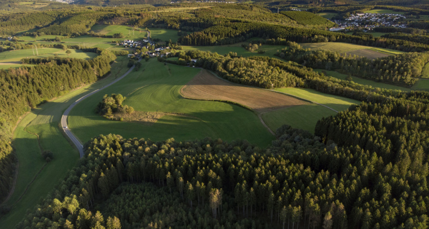 В Добринском районе расторгли незаконную сделку на 73 гектара земли