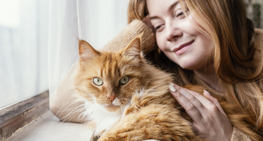 Как понять, что кошка вас любит: 7 неочевидных знаков внимания