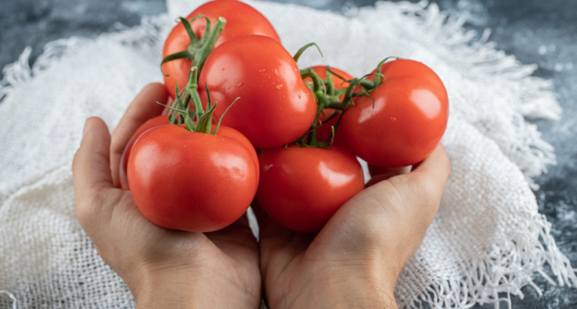 Маркова рассказала о рекордном урожае овощей в регионе