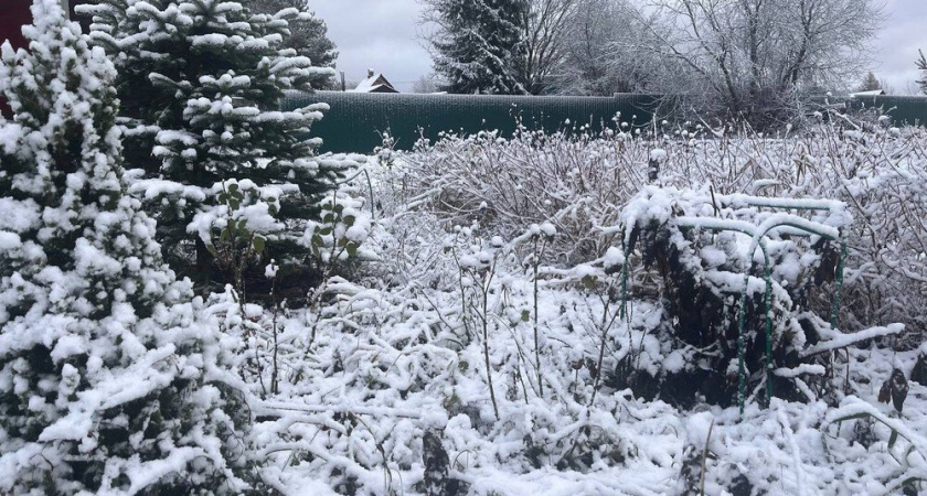 16 ноября в Липецкой области ожидается снег и до 5