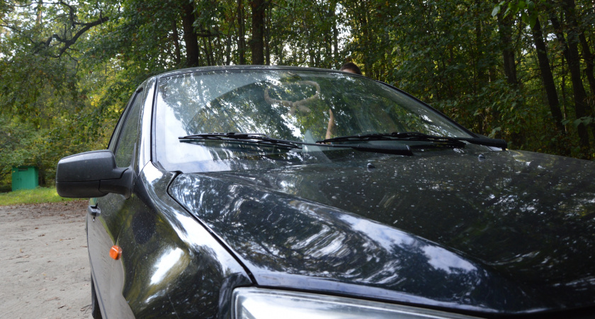 Во дворе подпёрли машину, а номер телефона оставить забыли: объясняем, как легко решить проблему