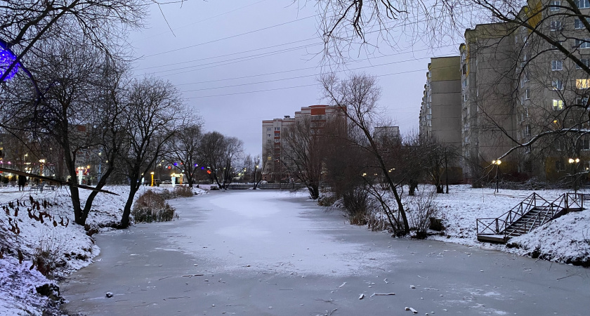 Старейшему памятнику царю в Липецке вновь требуется ремонт