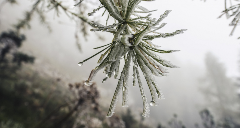 Ледяной дождь превратил липецкие дороги в каток